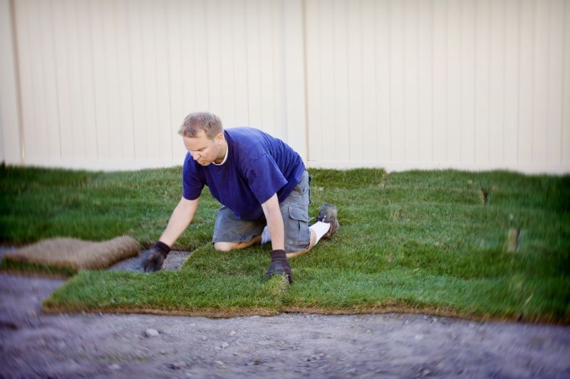 Bentgrass Sod Installation in Rockwall, TX