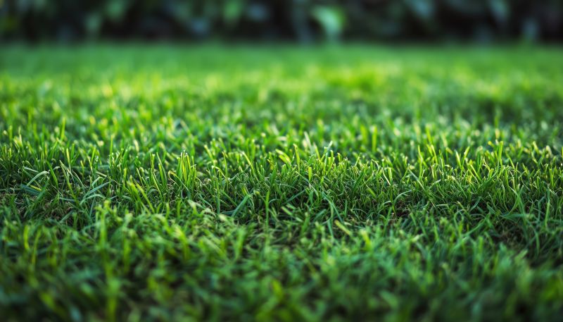 Commercial Sod Installation in Rockwall, TX