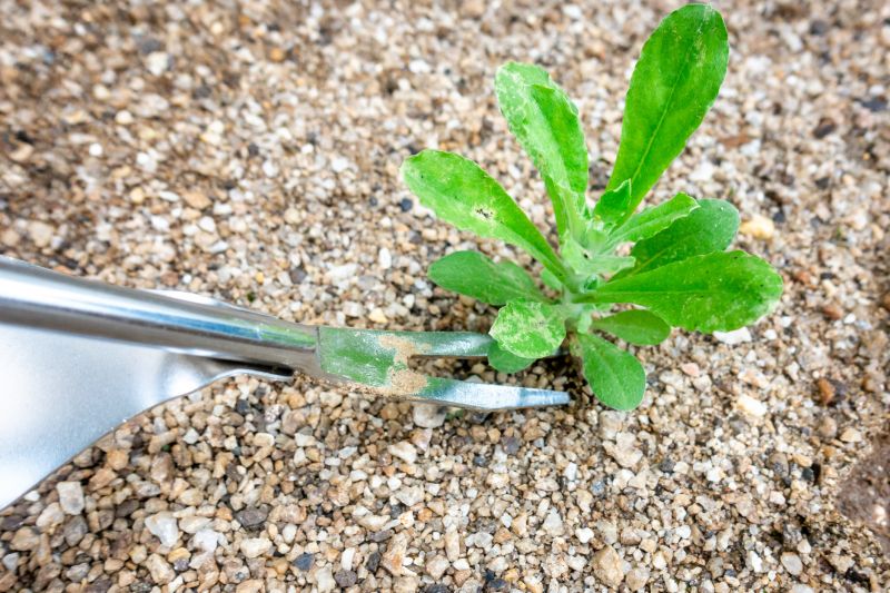 Flower Bed Weeding Service in Ventura County, CA
