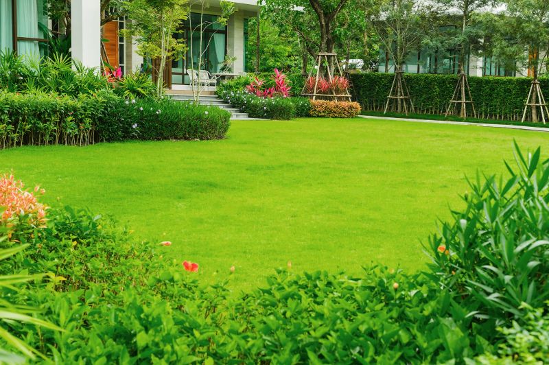 Grass Installation in Aiken, SC