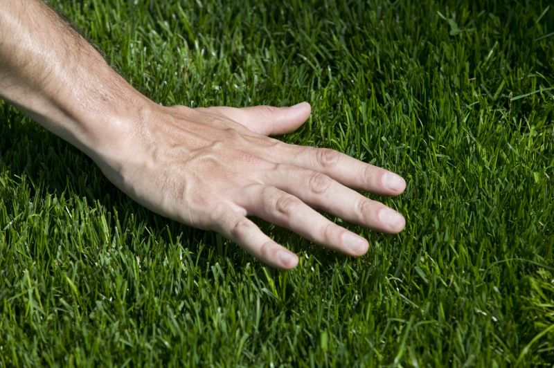 Grass Replacement in Honolulu, HI