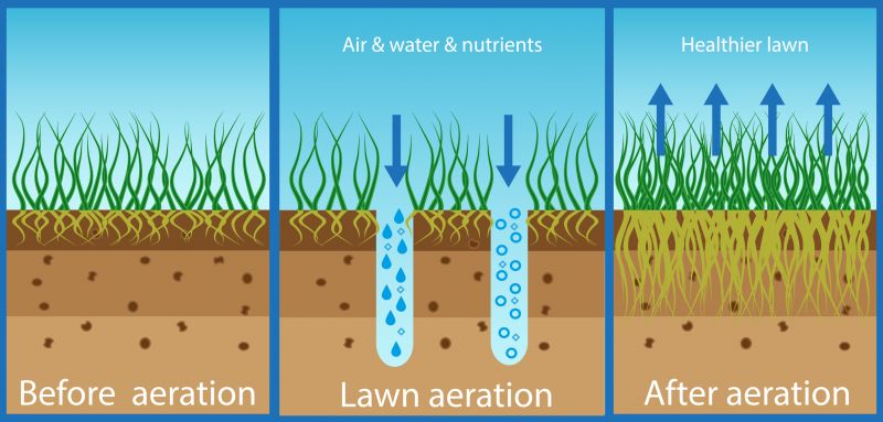 Lawn Aeration Service