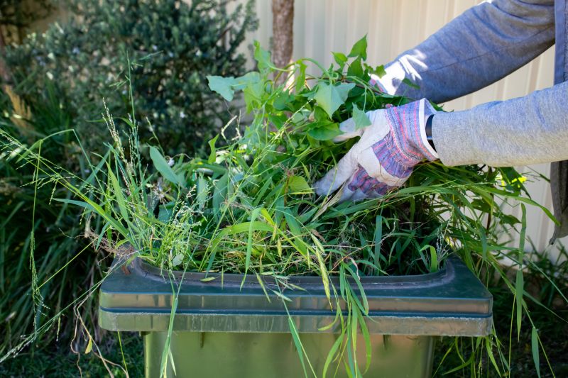 Lawn Cleanup Service in Honolulu, HI