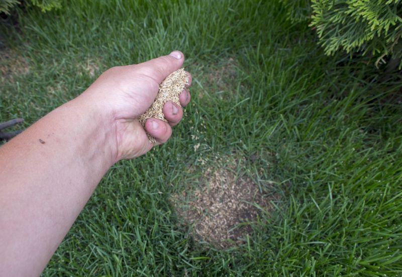 Lawn Seeding in Honolulu, HI