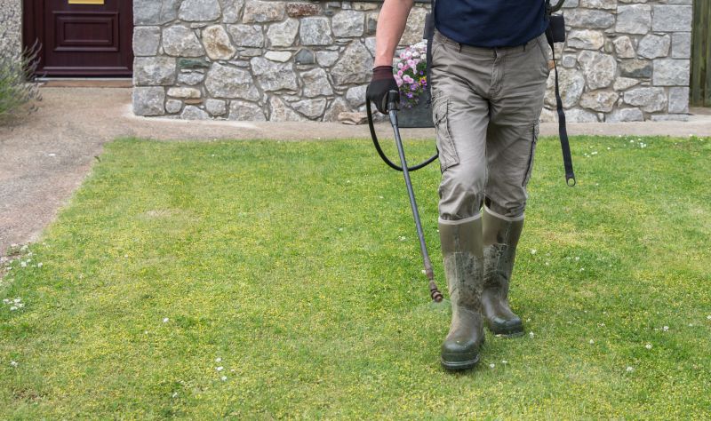Lawn Spraying in Rockwall, TX