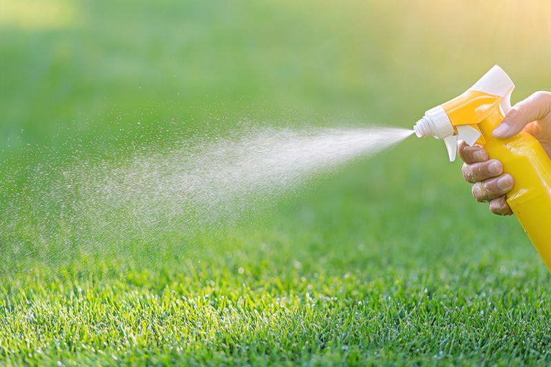 Lawn Weed Spraying in Honolulu, HI