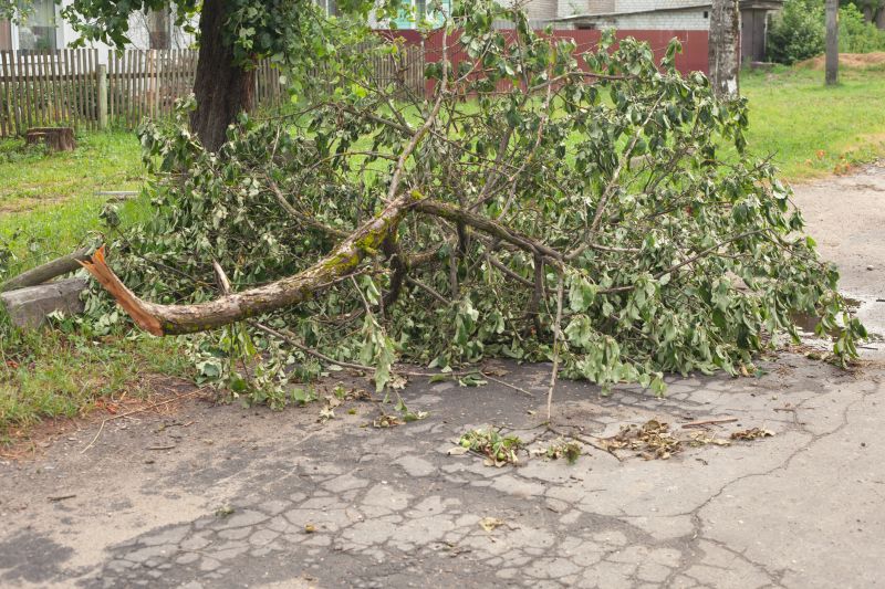Limbs Removal in Honolulu, HI