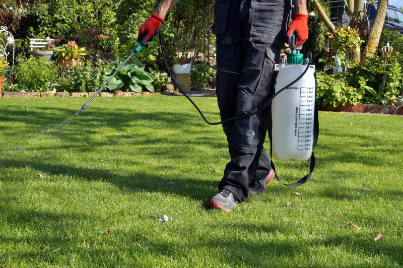 Mushroom Removal Service in Honolulu, HI