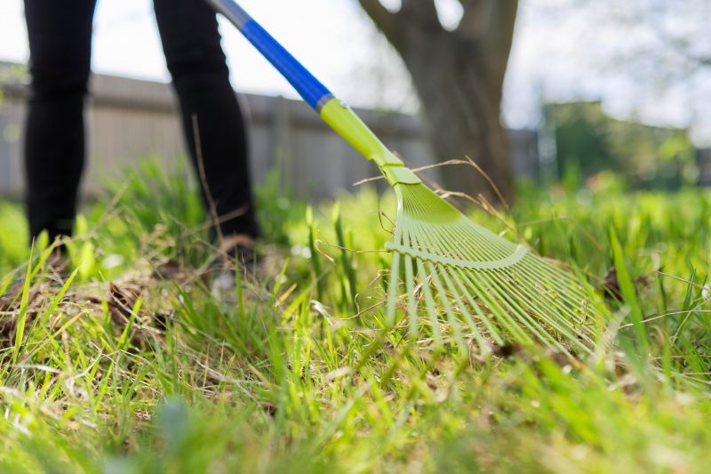 Pine Straw Raking in Honolulu, HI