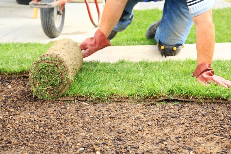 Sod Installation in Ventura County, CA