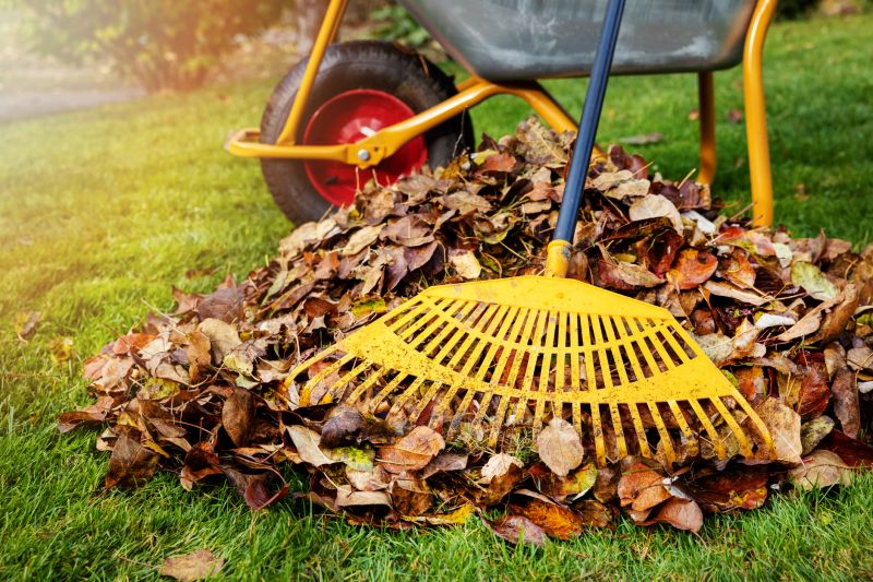 Spring Yard Clean Up Service in Honolulu, HI