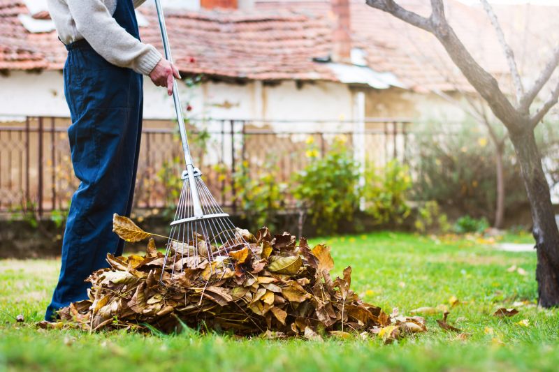 Yard Cleanup Service in Honolulu, HI