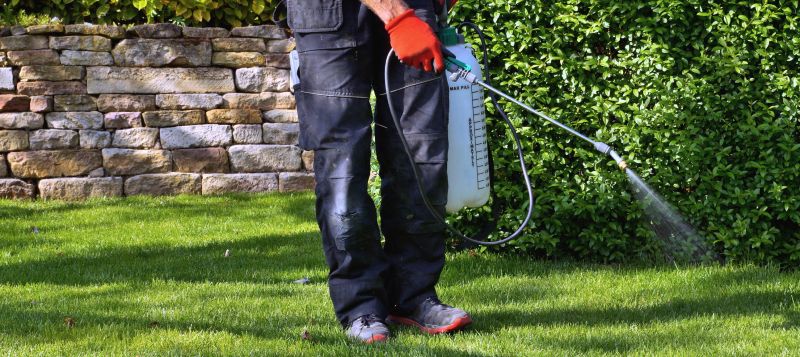 Yard Treatment Service in Honolulu, HI