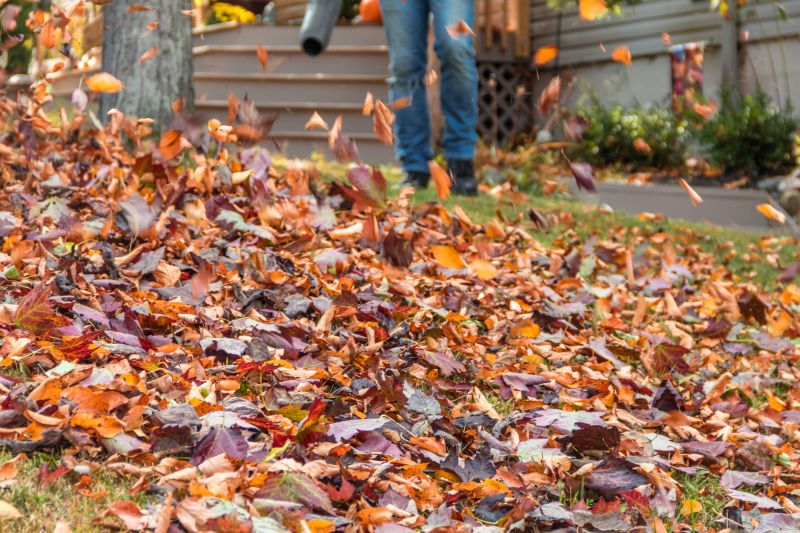 Landscaping Cleanup Service in Honolulu, HI